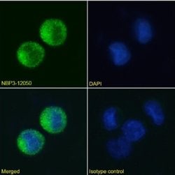 Fc epsilon RI Rabbit anti-Human, Clone: IB10, Novus Biologicals 0.025 mg;